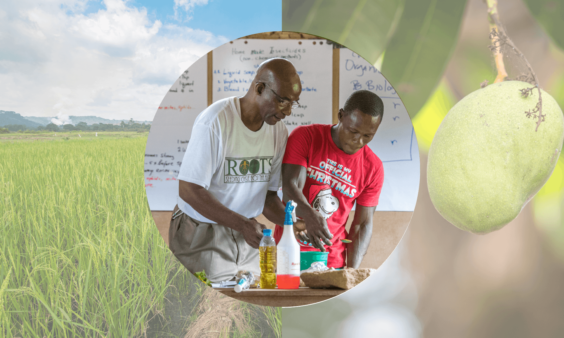 Educator Teaching Student About Resilient Agriculture