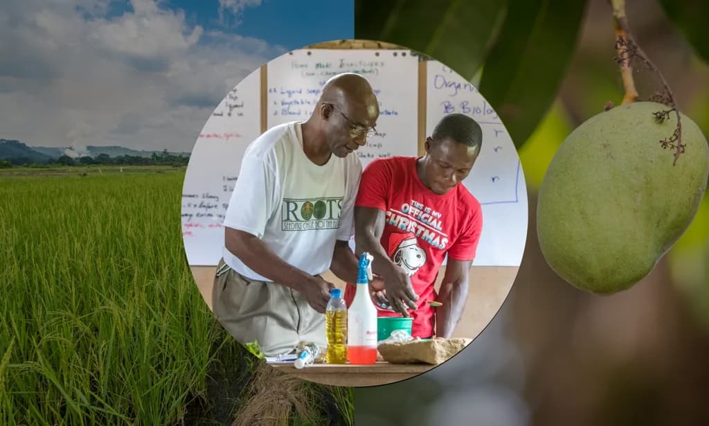 Neingben Community farming community supported by Roots Africa